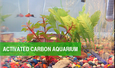 Activated Carbon Aquarium